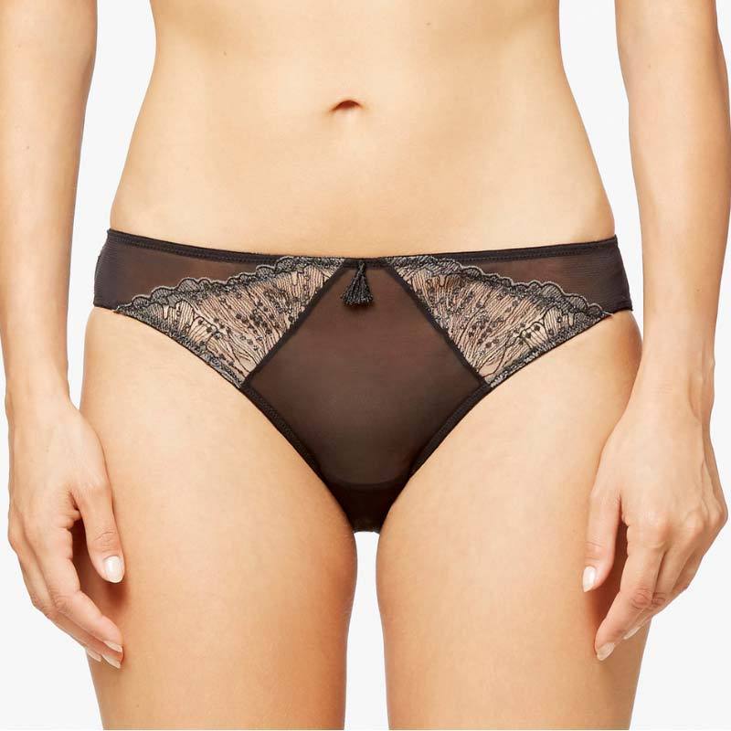 Lace-Embroidered Sheer Mesh Bikini Panty