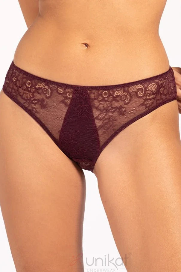 Sheer Mesh Lace Low-Rise Bikini Panty