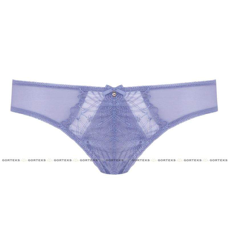Sheer Embroidered Lace Bikini Panty Full Coverage