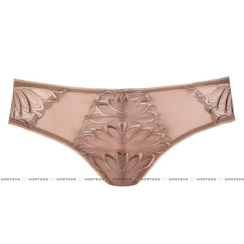 Floral Embroidered Sheer Bikini Brief