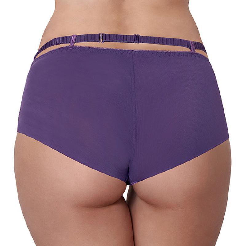 Sexy Sheer Boyshort Panty with Full Back Coverage