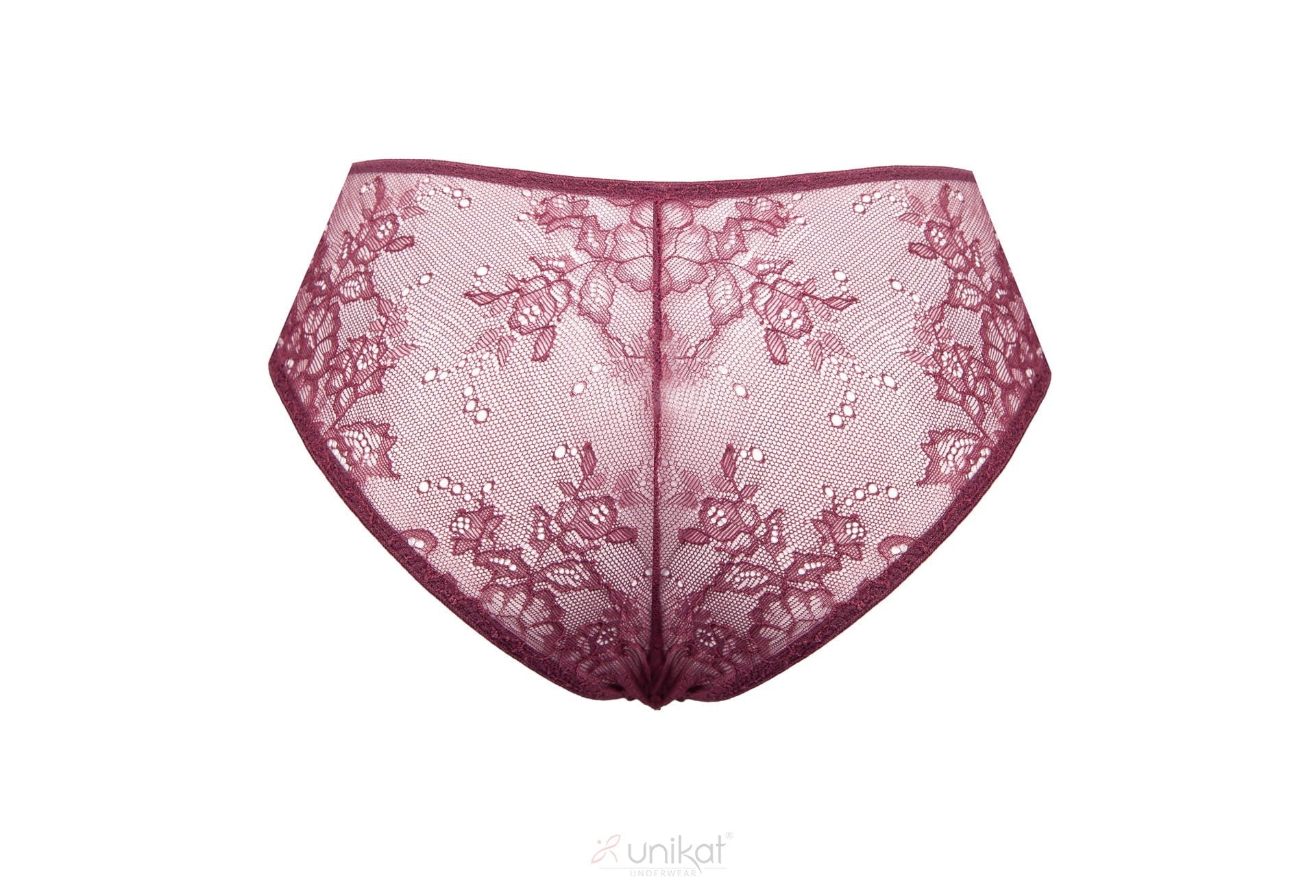 Sheer Mesh Lace Low-Rise Bikini Panty