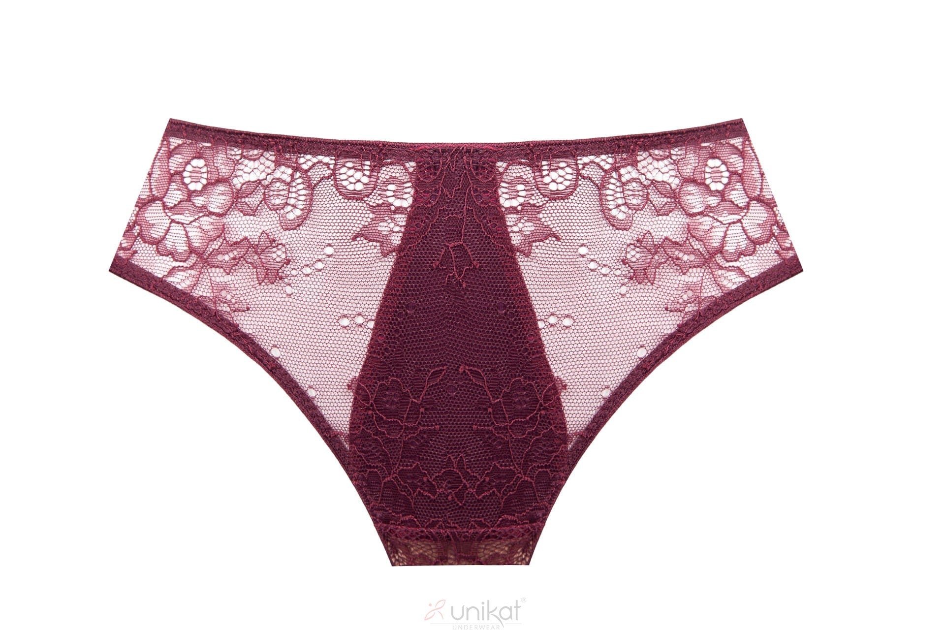 Sheer Mesh Lace Low-Rise Bikini Panty