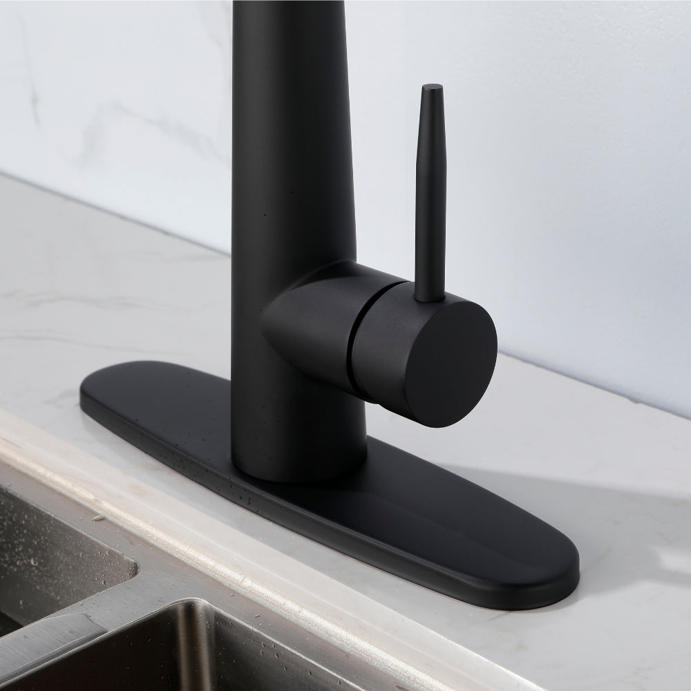 Black Kitchen Faucet with Pull Down Sprayer