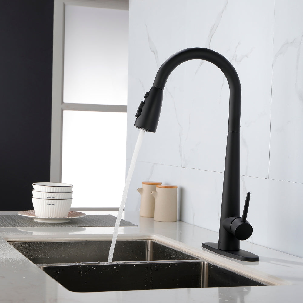 Black Kitchen Faucet with Pull Down Sprayer