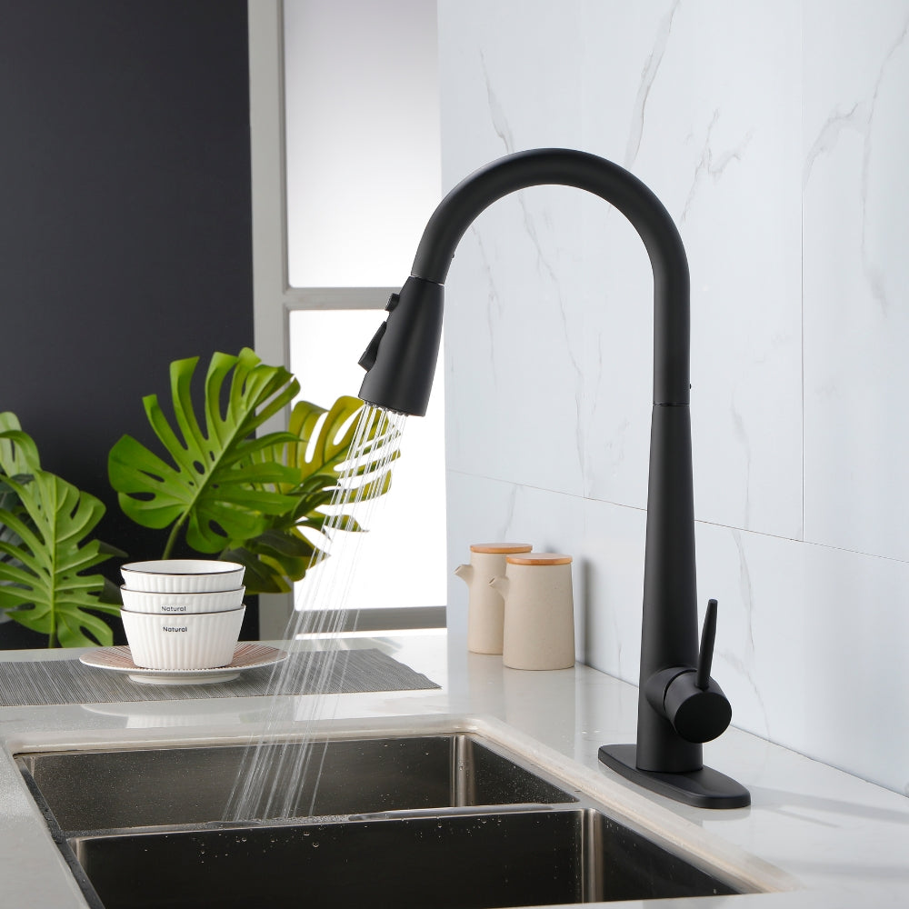 Black Kitchen Faucet with Pull Down Sprayer