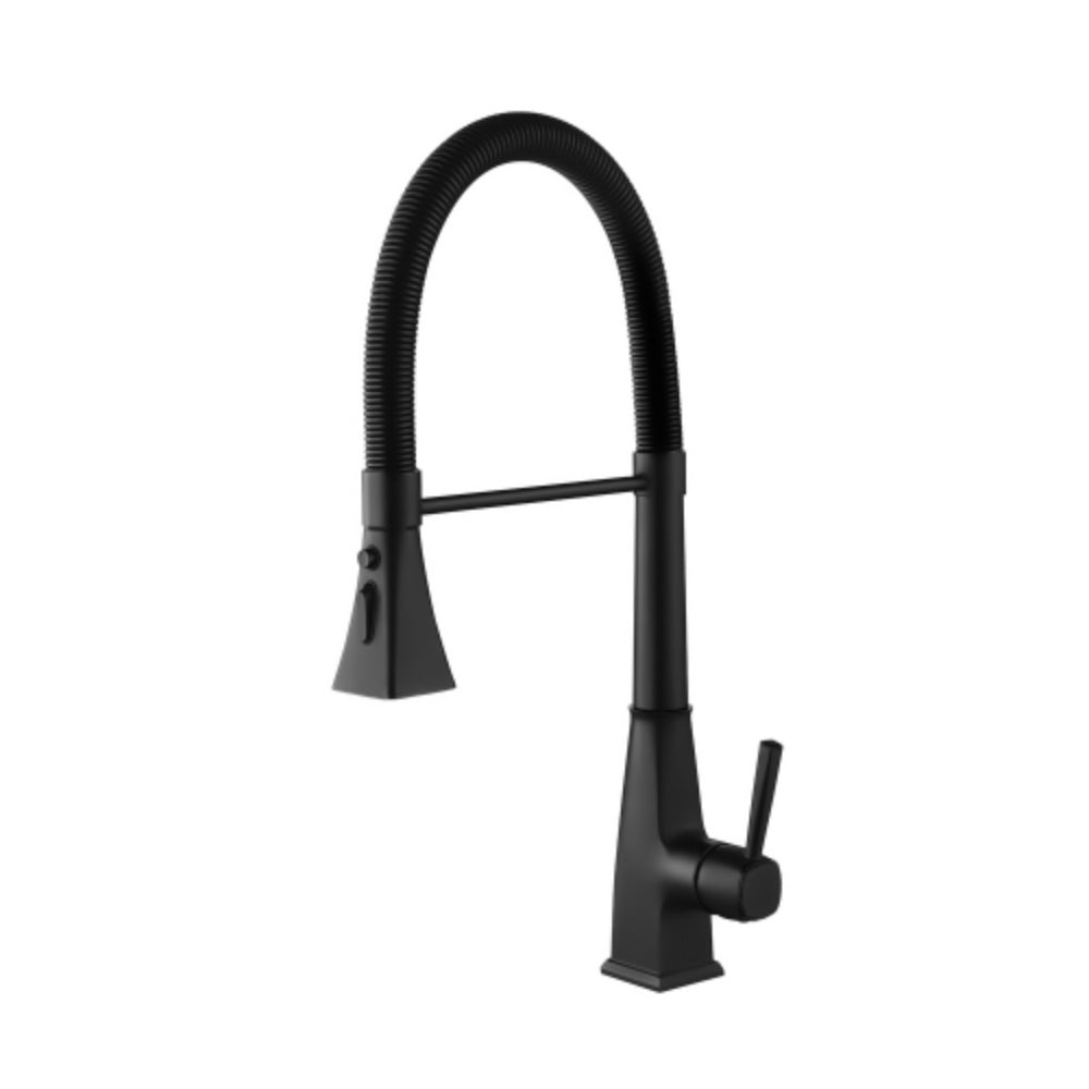 Matte Black Kitchen Faucet with Pull Down Sprayer