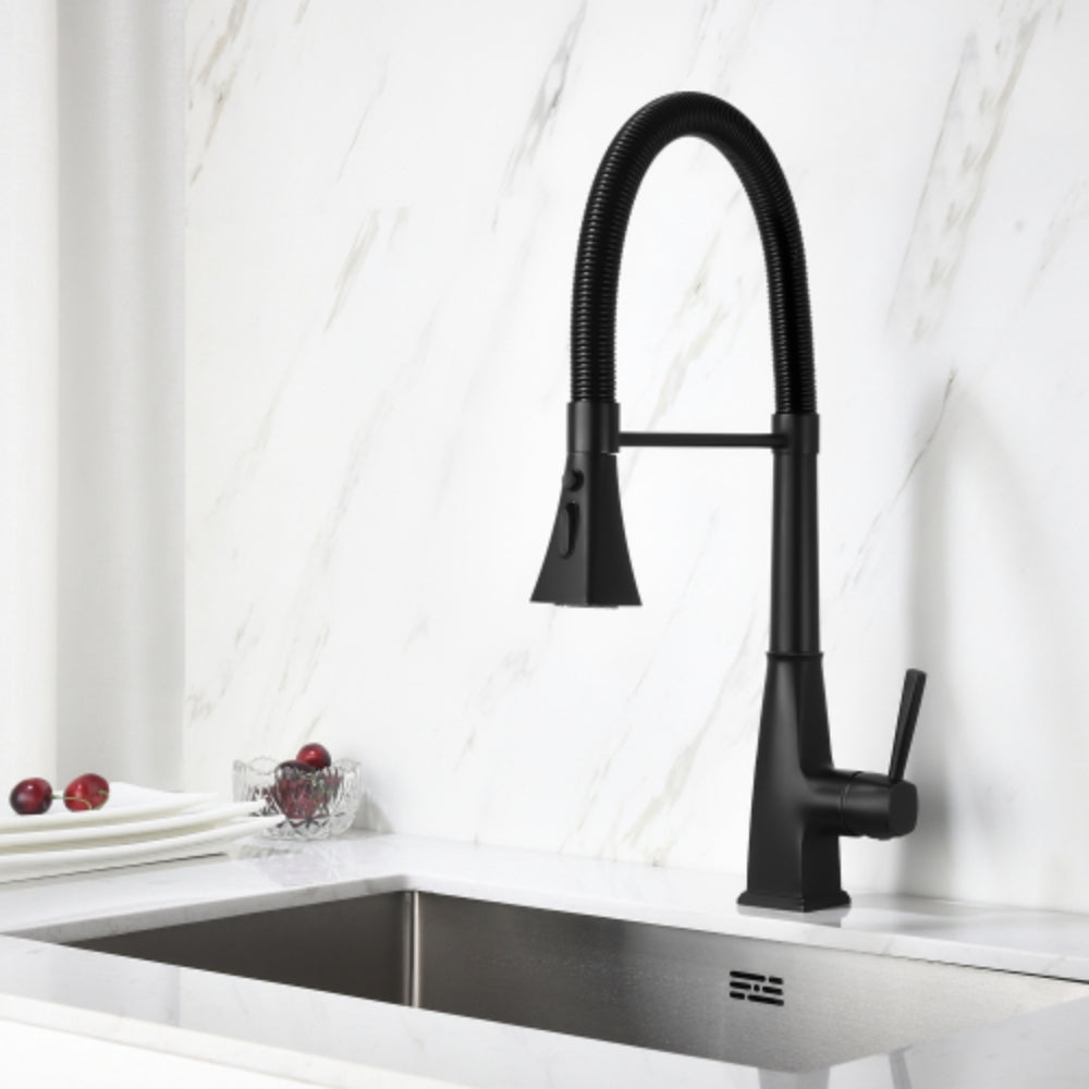 Matte Black Kitchen Faucet with Pull Down Sprayer