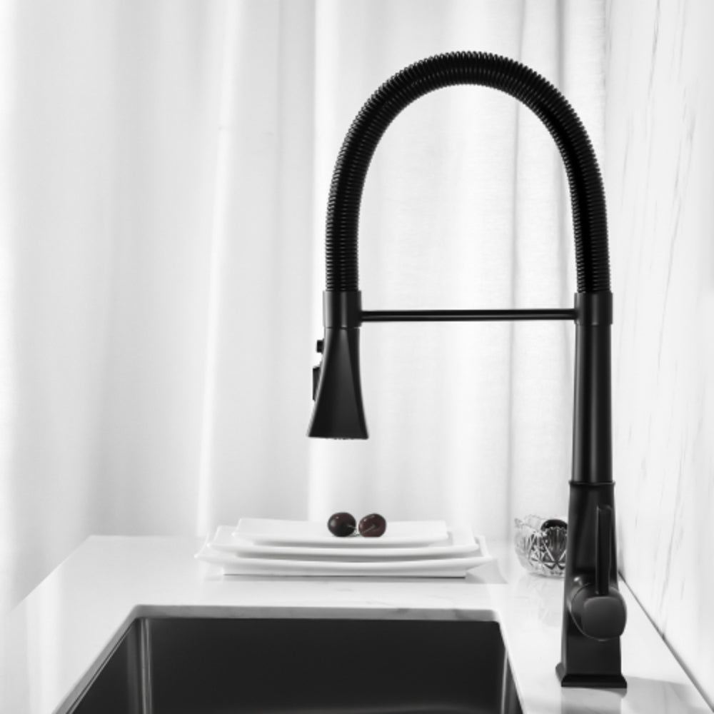 Matte Black Kitchen Faucet with Pull Down Sprayer