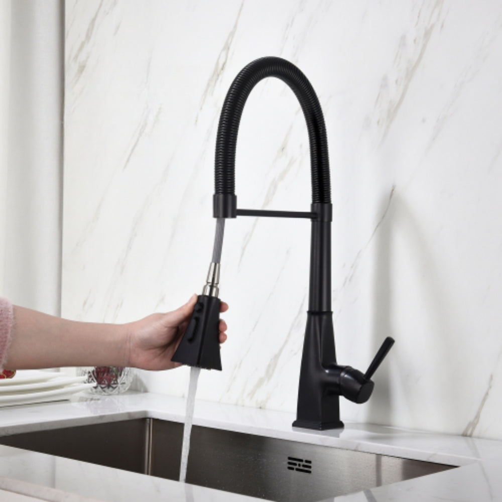 Matte Black Kitchen Faucet with Pull Down Sprayer
