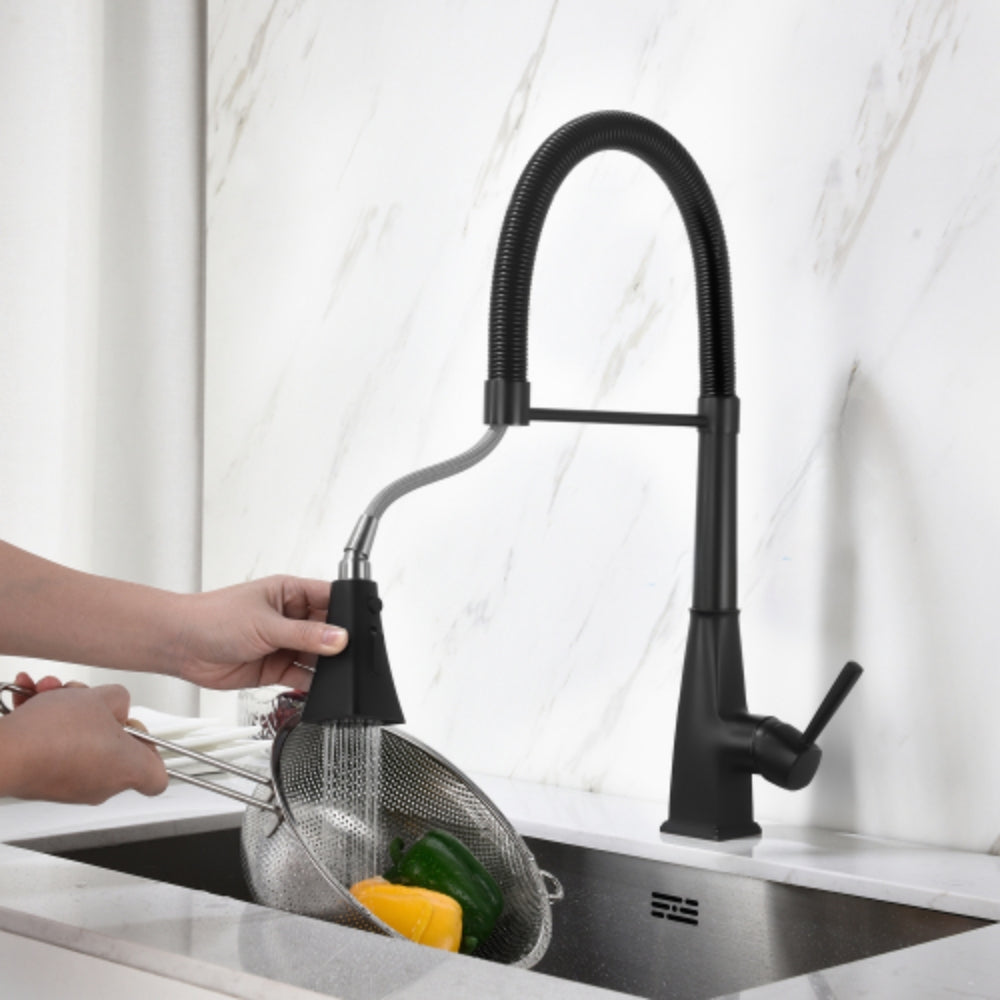 Matte Black Kitchen Faucet with Pull Down Sprayer