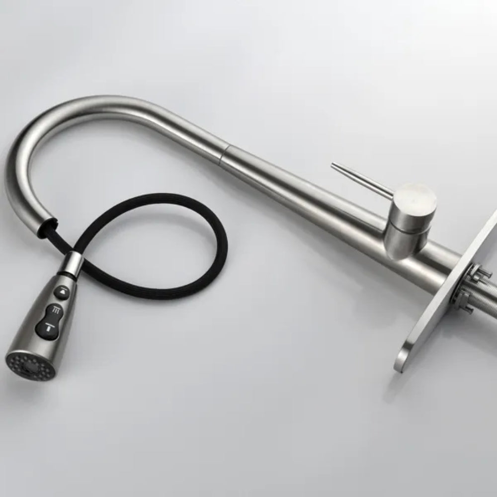 Kitchen Faucet with Pull Down Sprayer Brushed Nickel