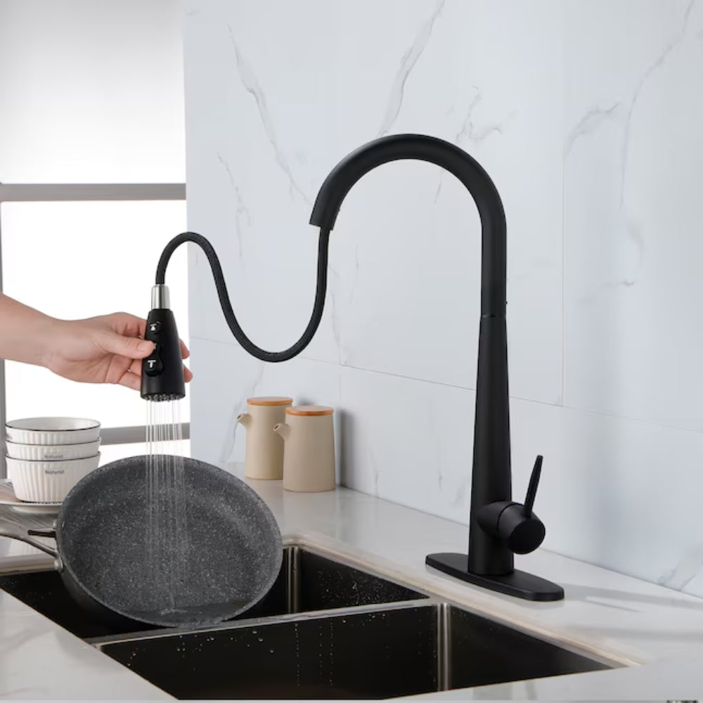 Kitchen Faucet with Pull Down Sprayer Matte Black