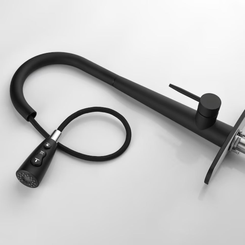 Kitchen Faucet with Pull Down Sprayer Matte Black