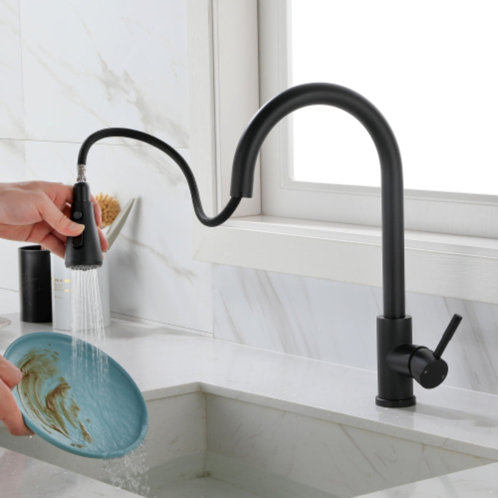 Kitchen Faucet with Pull-Out Sprayer - Black