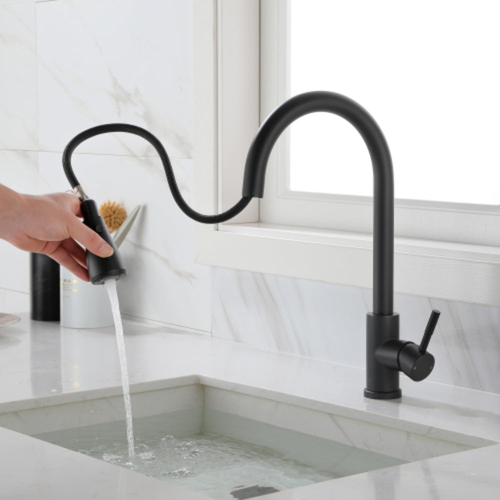 Kitchen Faucet with Pull-Out Sprayer - Black