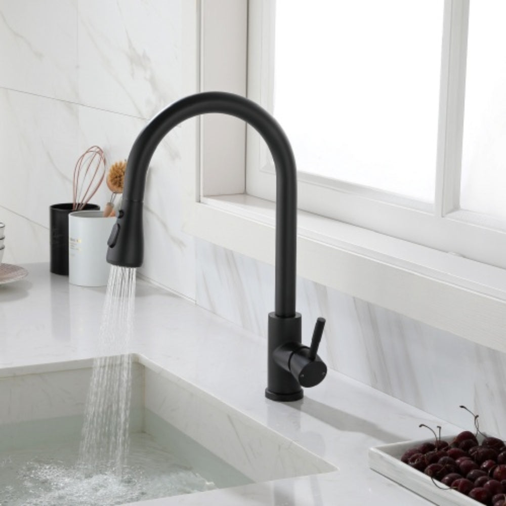 Kitchen Faucet with Pull-Out Sprayer - Black