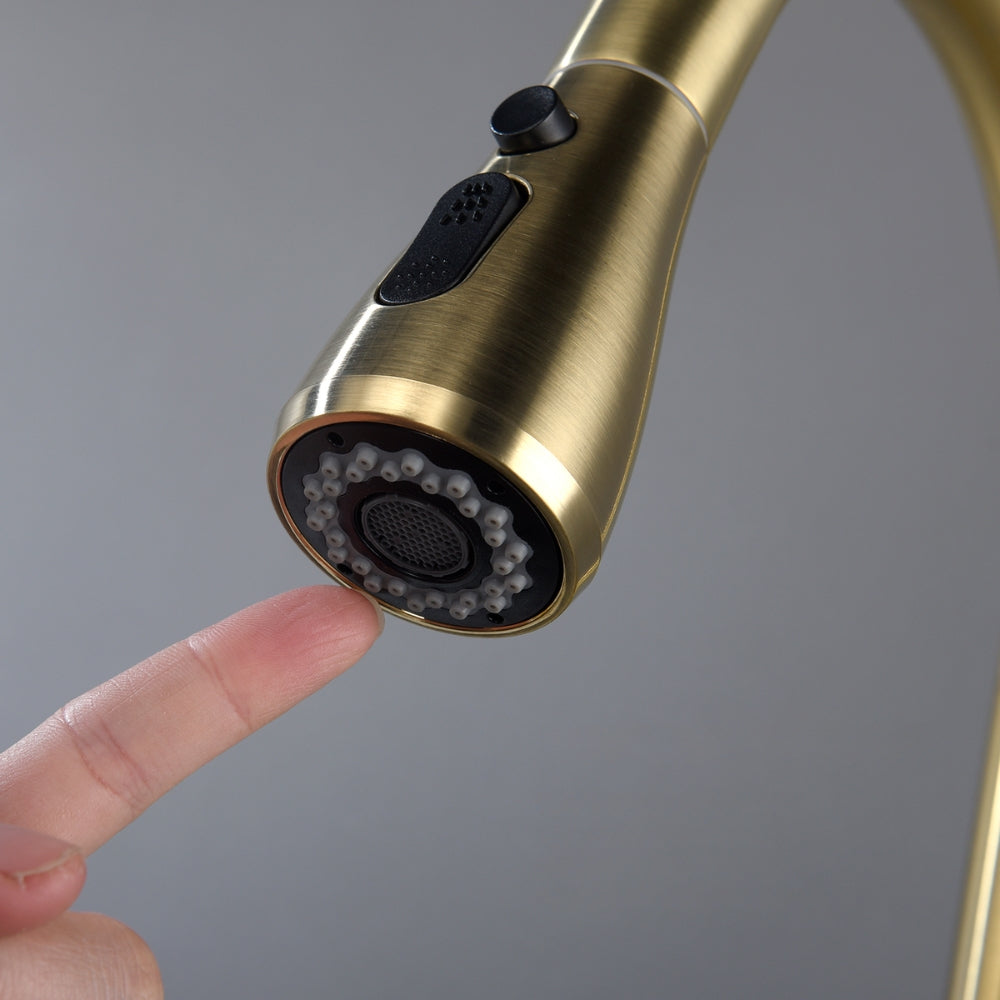 Pull Out Sprayer Kitchen Faucet - Gold