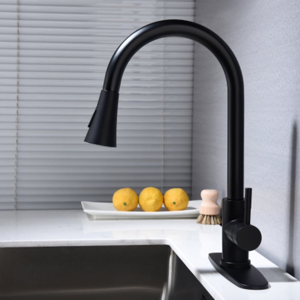 Pull Out Sprayer Kitchen Faucet - Matte Black