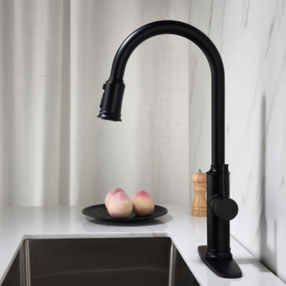 Pull Out Sprayer Kitchen Faucet - Matte Black