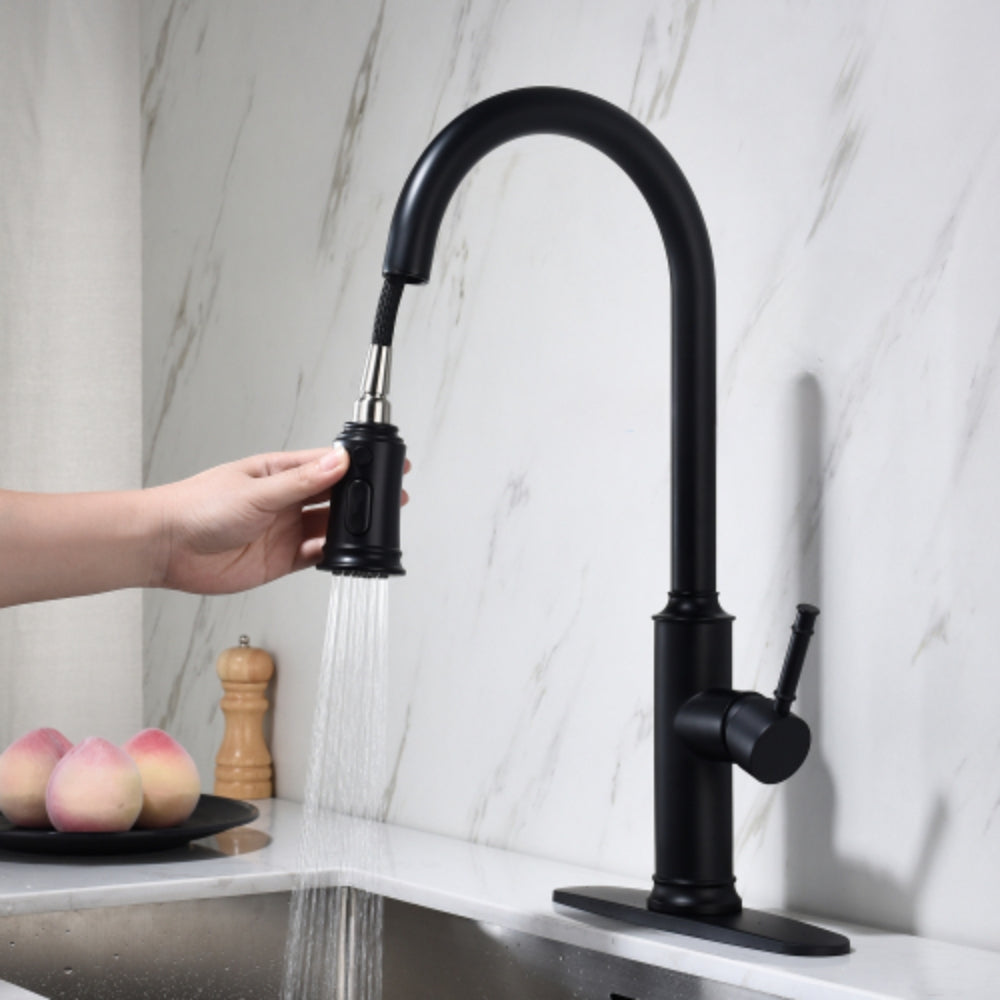 Pull Out Sprayer Kitchen Faucet - Matte Black