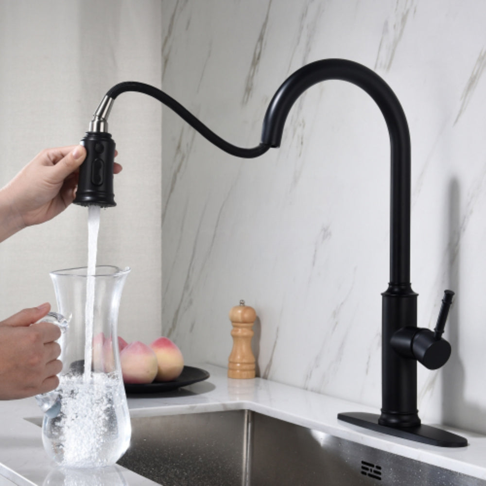 Pull Out Sprayer Kitchen Faucet - Matte Black