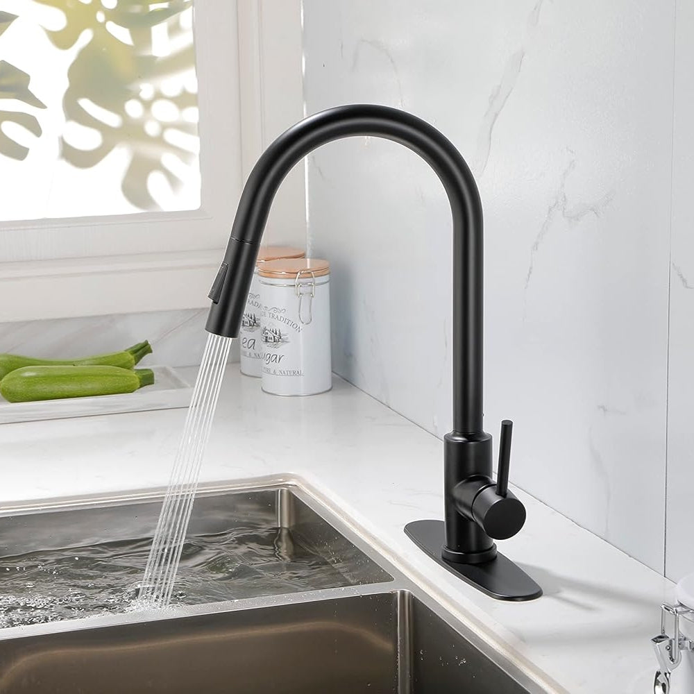 Pull Out Sprayer Kitchen Faucet - Matte Black