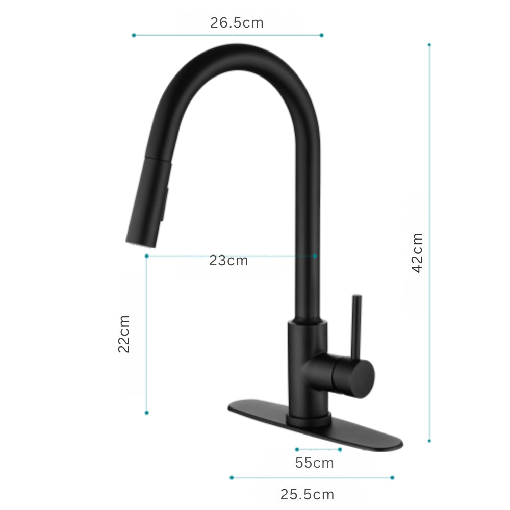 Pull Out Sprayer Kitchen Faucet - Matte Black