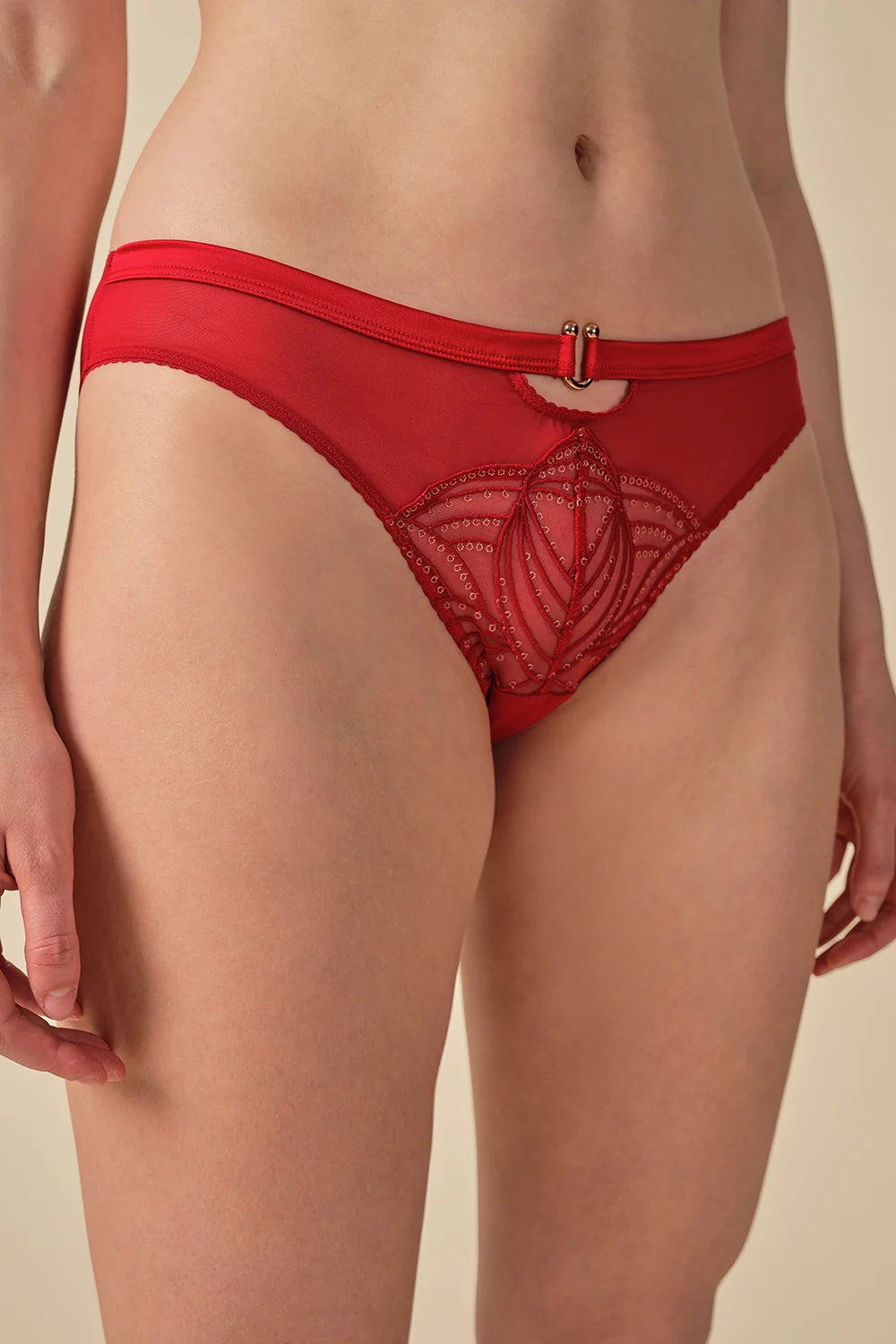 Sexy Sheer Embroidered Bikini Panty Lightweight Fit