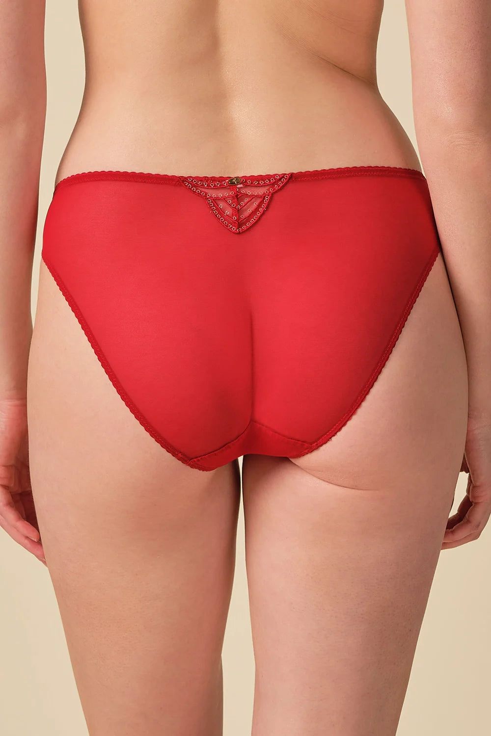 Sexy Sheer Embroidered Bikini Panty Lightweight Fit