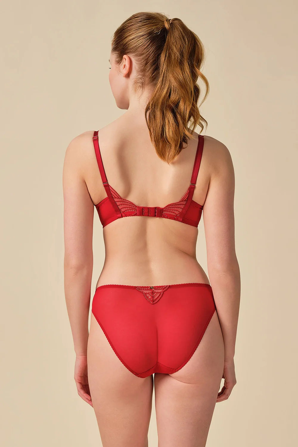 Sexy Sheer Embroidered Bikini Panty Lightweight Fit