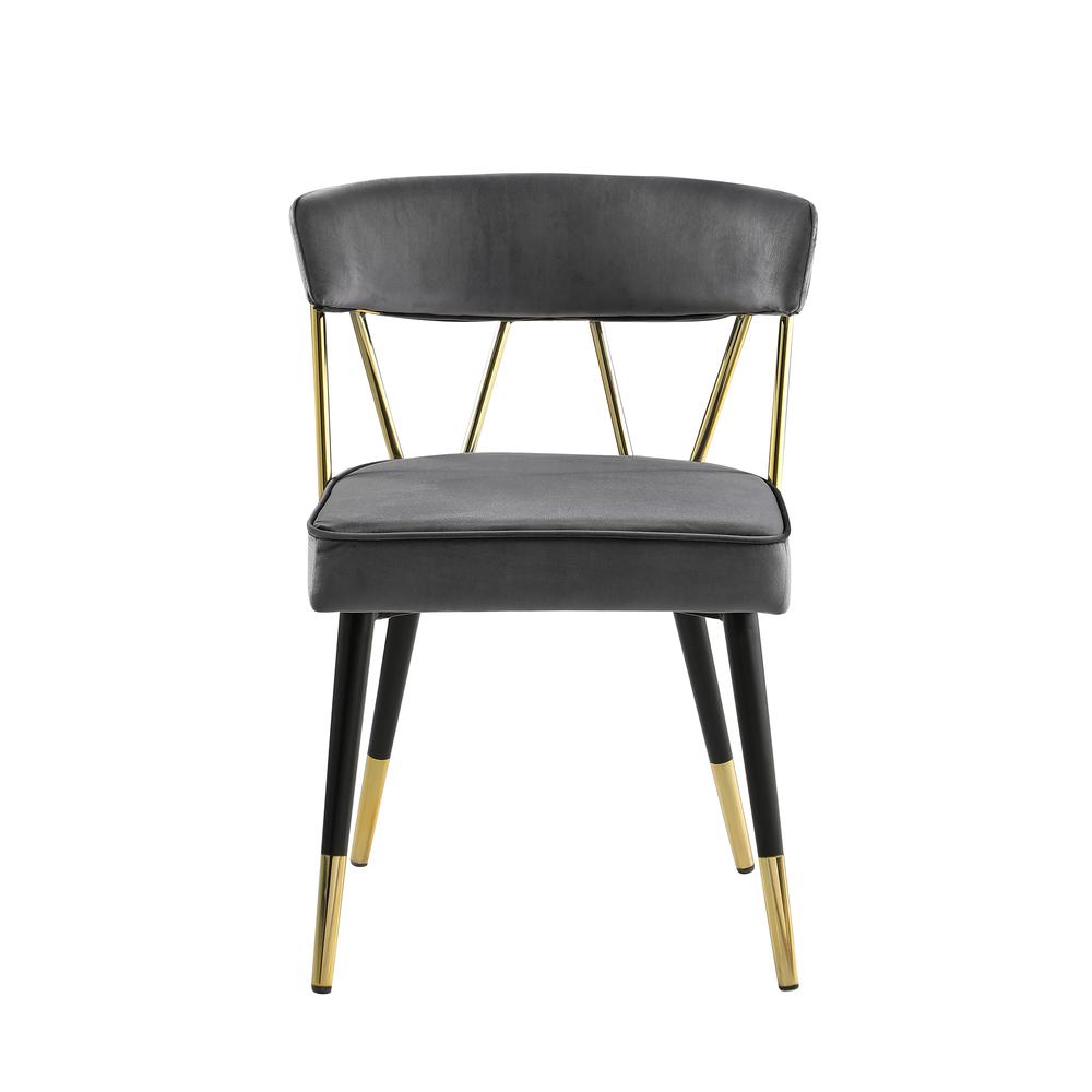 Aireys Gray Velvet Armless Chair with Gold Accents (Set of 2)