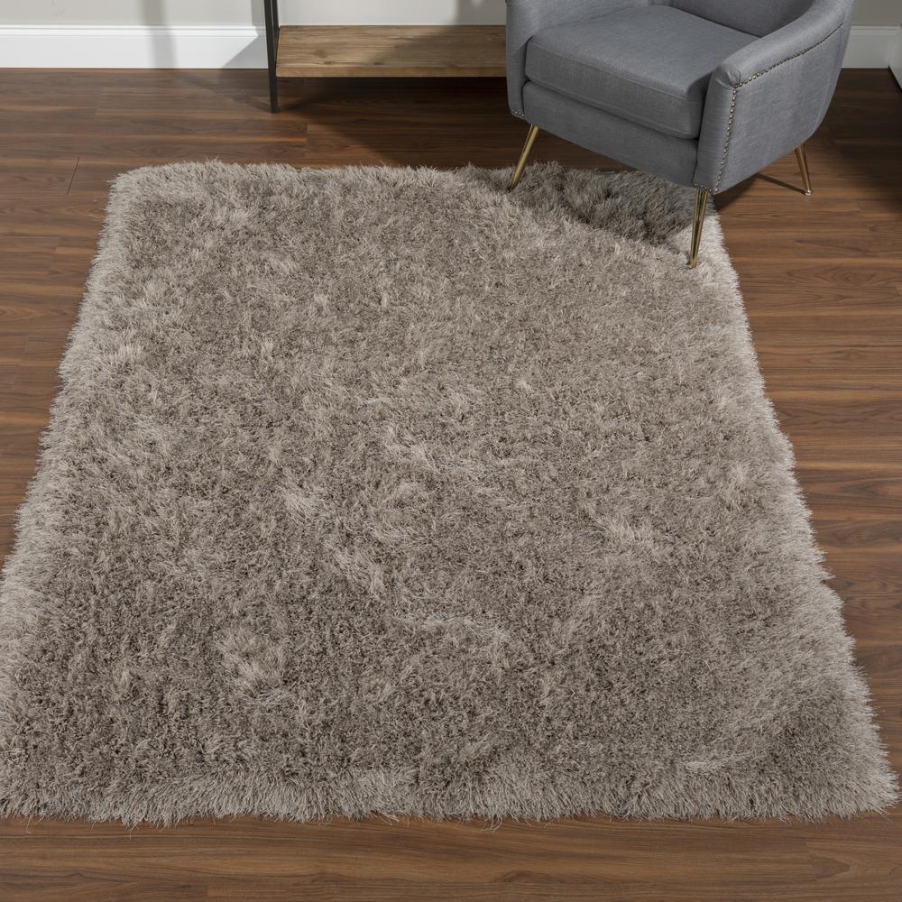 Aurora 31 Taupe 3'6"X5'6", Area Rug