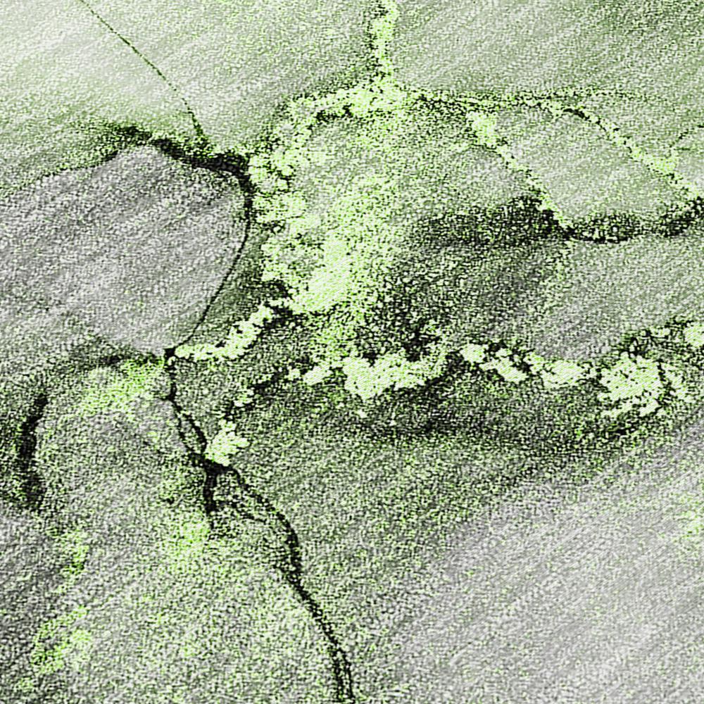 Chantille ACN520 Green 2'6" x 3'10" Rug