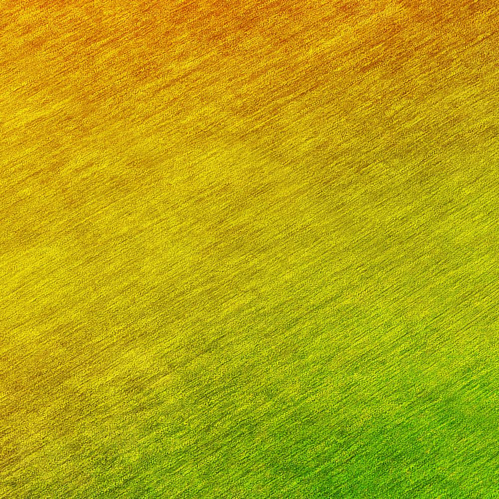 Chantille ACN583 Orange 2'6" x 3'10" Rug