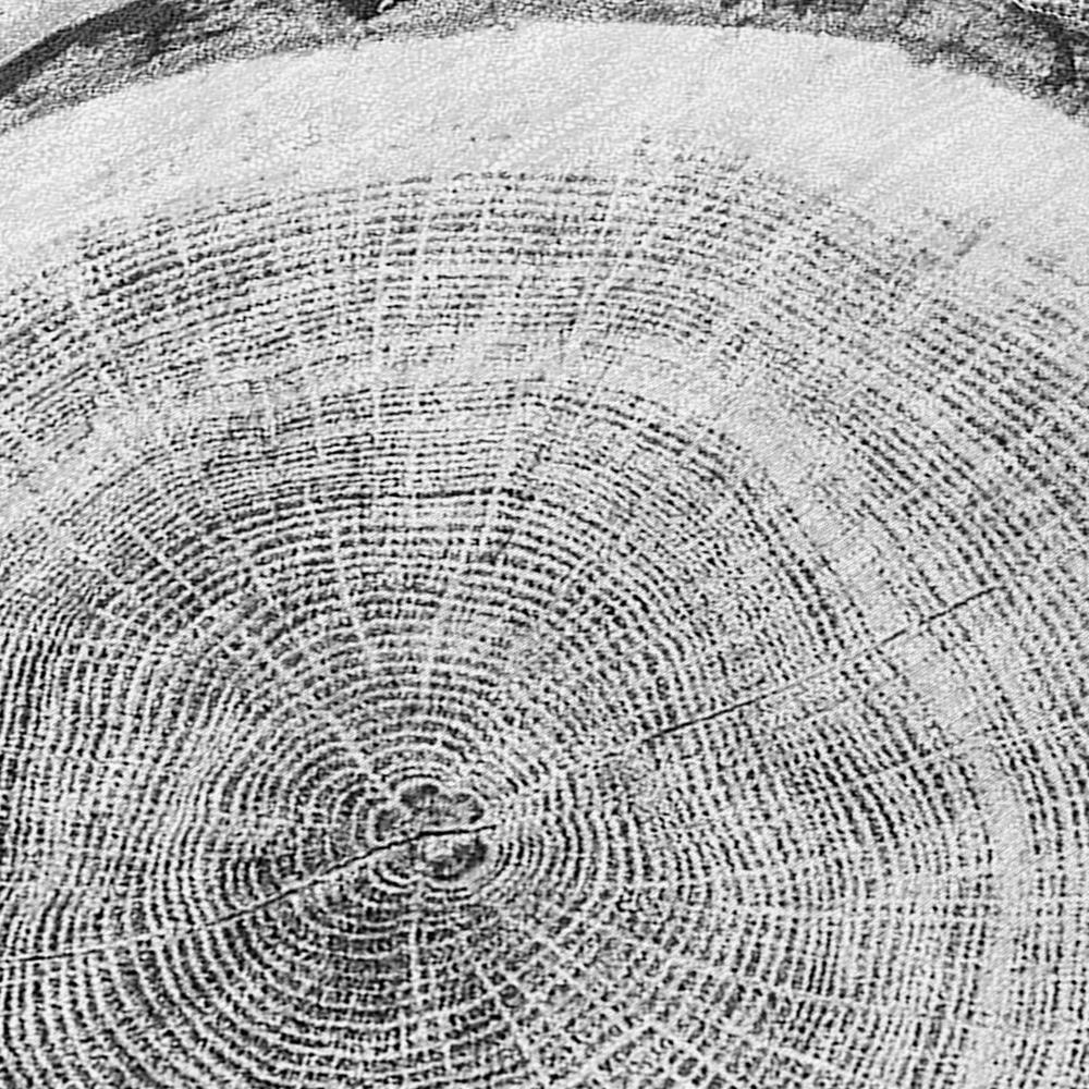 Chantille ACN575 Gray 3' x 5' Rug