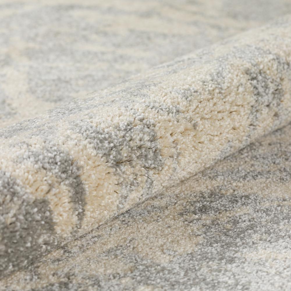 Barkley ABK31FO3X5 Ivory, Area Rug