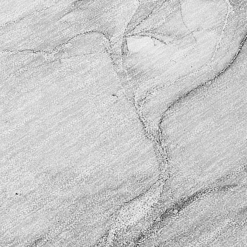 Chantille ACN516 Gray 9' x 12' Rug