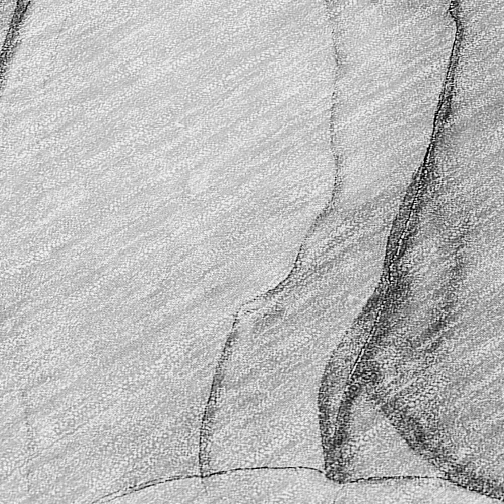 Chantille ACN502 Gray 10' x 14' Rug