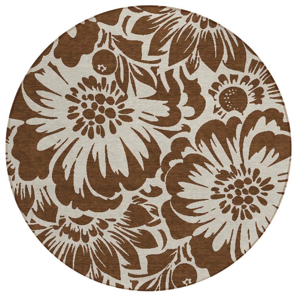 Chantille ACN551 Brown 8' x 8' Rug