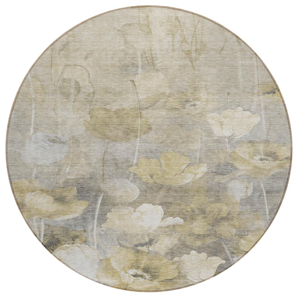 Chantille ACN613 Brown 8' x 8' Rug