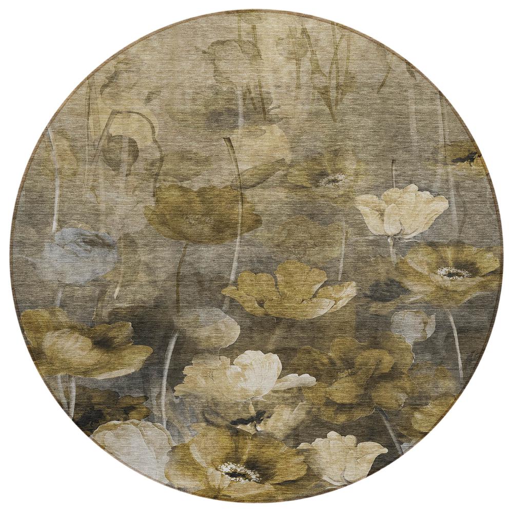 Chantille ACN613 Brown 8' x 8' Rug