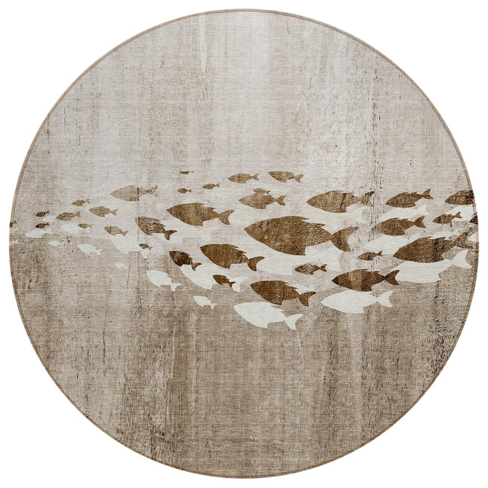 Chantille ACN627 Brown 8' x 8' Rug