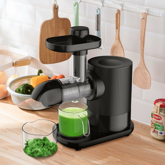 Horizontal Slow Masticating Extractor Juicer with Brush-Black