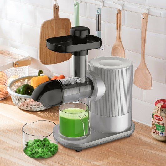 Horizontal Slow Masticating Extractor Juicer with Brush-Silver