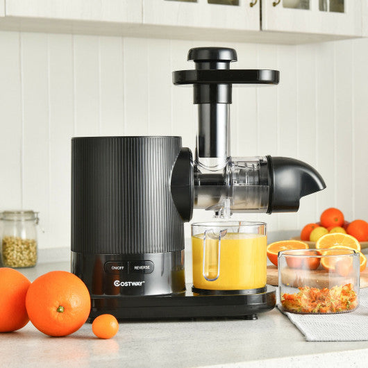 Horizontal Slow Masticating Extractor Juicer with Brush-Black