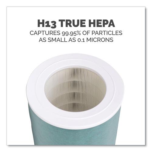 AeraMax SE Combo Filter, 10.87" x 14.75"