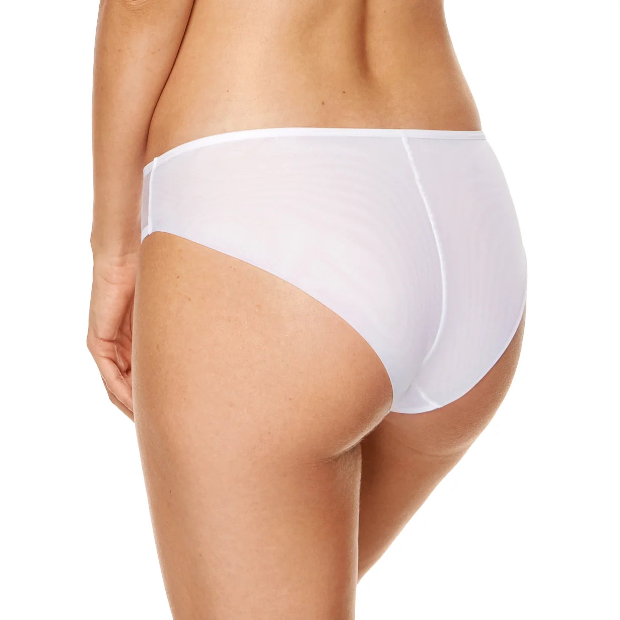 Sexy Sheer Mesh Embroidery Bikini Panty