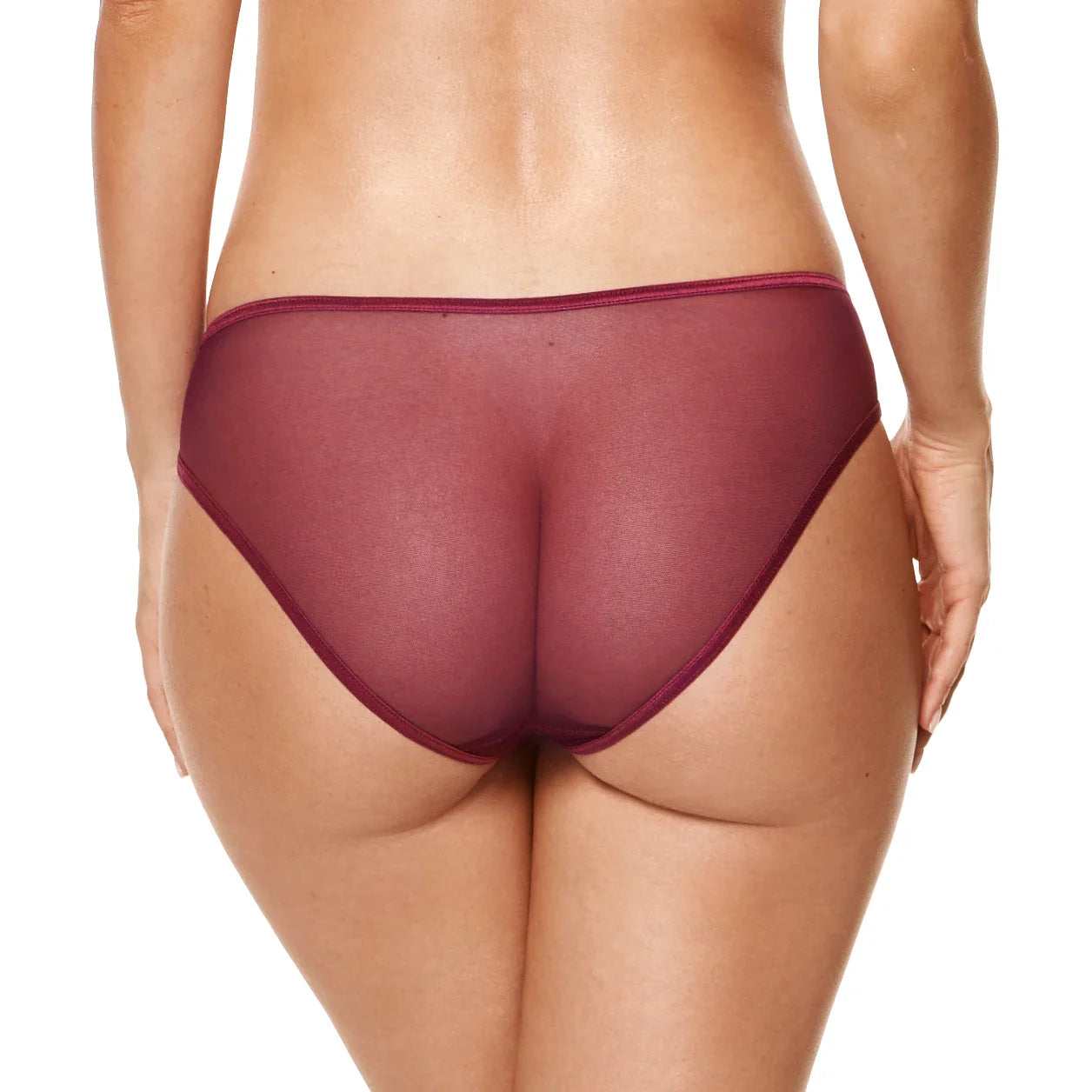 Mid-Rise Sheer Bikini Panty with Elegant Lace