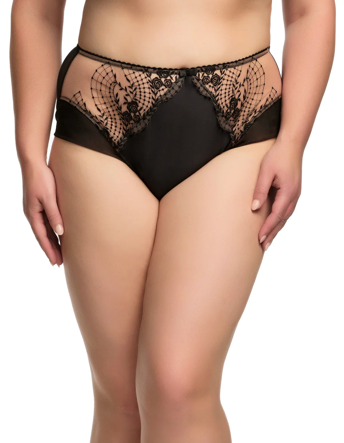 Sheer Embroidered Mesh Brief with Satin and Soft Mesh Back